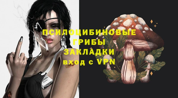 молекула духа Абинск