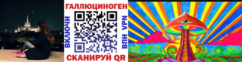 закладка  Черепаново  Галлюциногенные грибы Psilocybine cubensis 